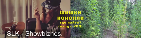 ПСИЛОЦИБИНОВЫЕ ГРИБЫ Михайловка
