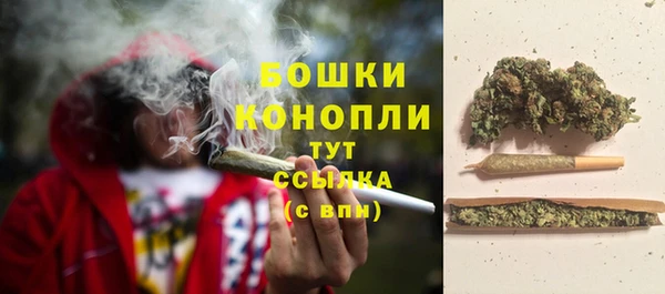 ПСИЛОЦИБИНОВЫЕ ГРИБЫ Михайловка