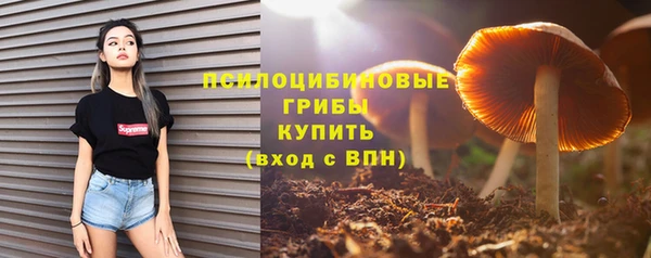 mdpv Михайлов