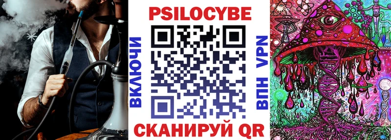 Купить где  Хилок  Галлюциногенные грибы мицелий 